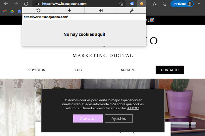 Web No Cookies